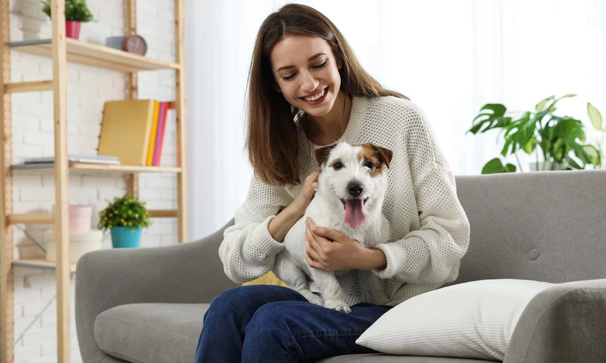 Casa limpia y mascota feliz Descubre las 11 razas de perros que menos pelo sueltan
